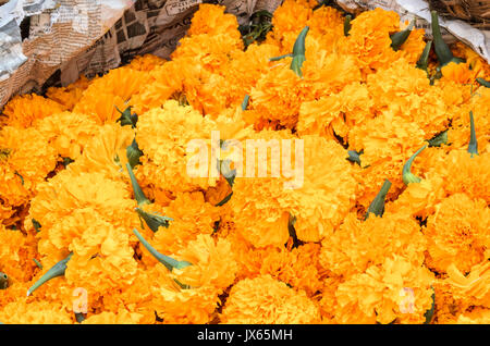 Flores para tradicional balinesa, caléndulas, oferta para la venta en el mercado tradicional de Ubud, en Ubud, Bali. Foto de stock