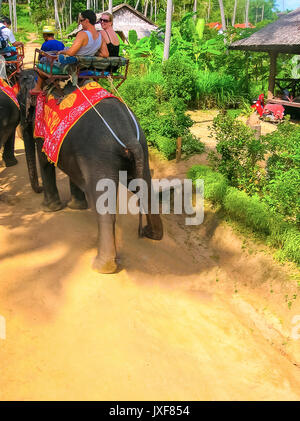 Koh Samui, Tailandia - Junio 21, 2008: Los turistas montando elefantes en Koh Samui, Tailandia Foto de stock