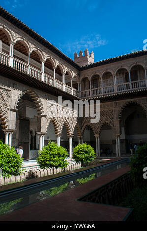 España: Vista del patio de las Doncellas, el Patio de las doncellas de palacio del rey Pedro I en el Alcázar de Sevilla, el famoso palacio real Foto de stock