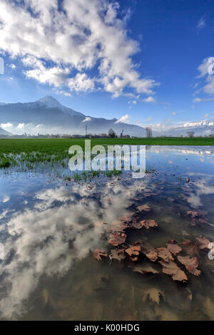 La reserva natural de Pian di Spagna inundado con picos nevados se reflejan en el agua Valtellina Lombardía Italia Europa Foto de stock
