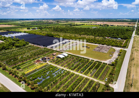 Miami Florida,Homestead,tierras agrícolas,granja,vivero,vista aérea, FL17081872D Foto de stock