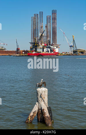 Texas, Galveston, Puerto, Pelican sobre pilotes, plataforma de perforación costa afuera y el buque de apoyo Foto de stock