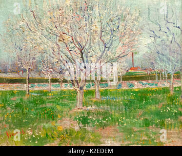 Huerto en flor (Ciruelos), Arles, 1888 - Vincent Van Gogh Fotografía de  stock - Alamy