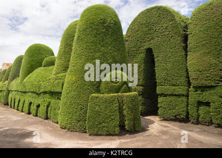 Evergreen cypress topiary en el cementerio de Tulcán Ecuador un destino turístico popular. Foto de stock