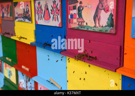Cerca de abejas entrando en colmenas de coloridos cuadros pintados a mano de apiarios de escenas tradicionales en Kralov Med en Selo, cerca de Bled Eslovenia