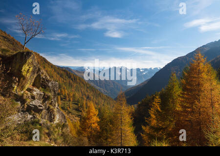 El Parque Nacional de Stelvio, Lombardía, Italia. Messi Valley Foto de stock