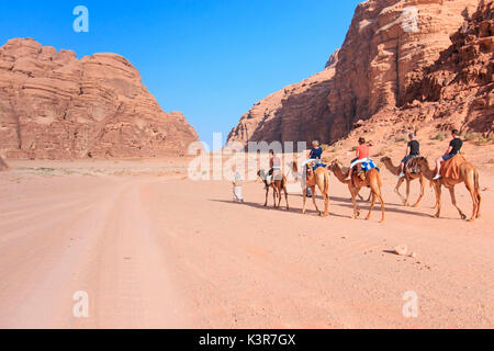 Los turistas montar camellos al atardecer en el desierto de Wadi Rum, Jordania Foto de stock