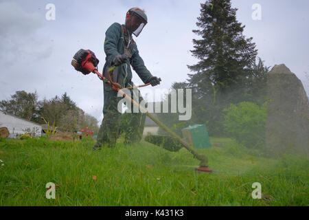 El hombre cortando hierba con desbrozadoras Foto de stock