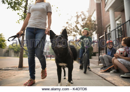 Mujer paseando a un perro en correa pasado muchachos sobre acera