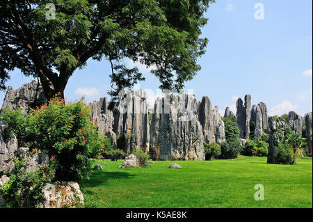 Forrest Park paisajes de piedra en Kunming, China. Foto de stock