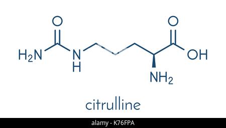 Molécula de aminoácido citrulina. presente en algunos suplementos dietéticos. atletismo fórmula esquelética. Ilustración del Vector