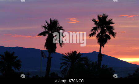 Dos palmeras delante del desierto de montaña del atardecer con nubes de rosa y oro