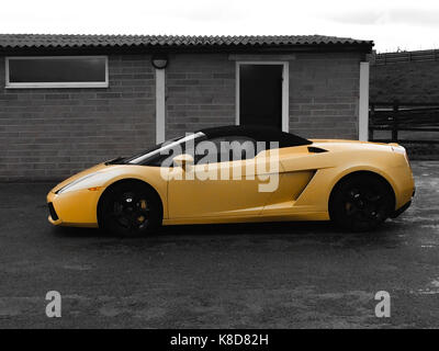 Lamborghini Gallardo de color amarillo, con un fondo blanco y negro  Fotografía de stock - Alamy