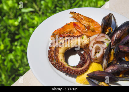 Combinación de mejillones,el pulpo, el calamar y las gambas Foto de stock