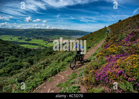 Dos ciclistas de montaña ride un sendero en la colina que domina la bahía de Porlock Bossington en Somerset, Inglaterra.