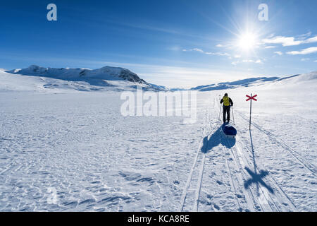 Esquí de travesía en el kebnekaise área masiva, la Laponia sueca, Suecia, Europa