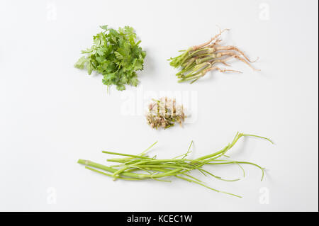 Cilantro (Coriandrum sativum) o elementos de perejil chino inculding las hojas, las raíces, los tallos, y golpean el cilantro mezclar con ajo sobre fondo blanco. Foto de stock