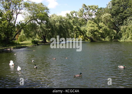 Vistas a los jardines Thwaite Hall en Cottingham, East Yorkshire