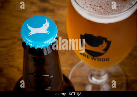 Una botella de BrewDog Punk IPA está al lado de un vidrio marca BrewDog llena de cerveza (uso Editorial solamente).