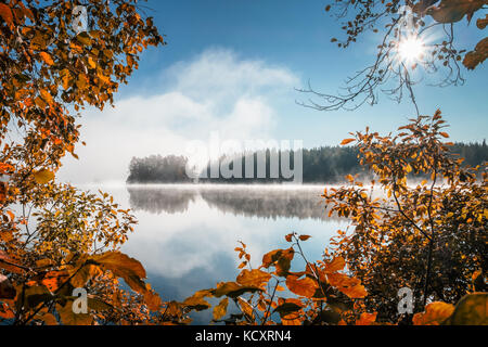 Vista panorámica con colores otoñales y tranquilo lago en mañana de otoño en liesjärvi national park, Finlandia