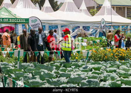 Starke Ayres la agricultura alimentaria exhibición con personas, Feria Internacional de Nairobi, Kenia Foto de stock