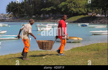 Grand Baie, Mauricio - los trabajadores llevan el material no identificado en una canasta grande con la playa en el fondo en formato apaisado Foto de stock