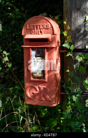 Caja de lámpara de estilo georgiano casilla postal británico