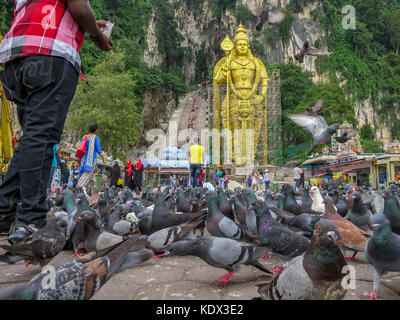 Los turistas alimentan una bandada de palomas en el patio ante la estatua de Murugan y los 272 escalones que llevan a la Catedral Cueva en las Cuevas Batu Gombak, Selan Foto de stock