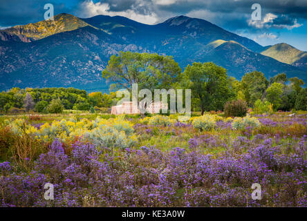 Flores y pico pueblo de Taos, Nuevo México Foto de stock
