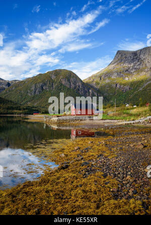 Cabañas rorbu roja tradicional en el mar en las islas Lofoten en Noruega
