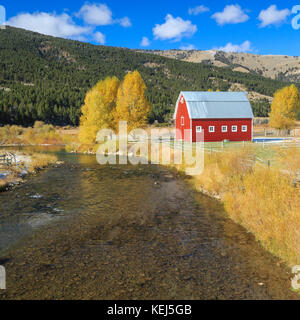 Granero rojo y colores de otoño a lo largo del río cerca de rubí alder, Montana