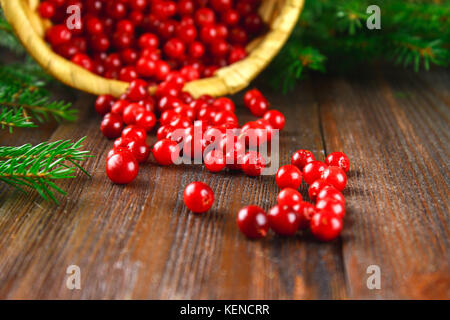 Cowberry, foxberry, arándano, Arándano rojo sorbos de la cesta sobre una tabla de madera marrón. rodeado de ramas de abeto.