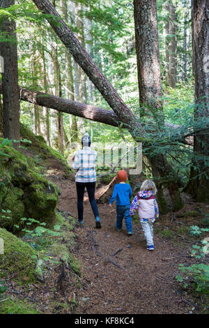 Usa, Oregon, Oregon Cascades, una joven familia caminatas fuera a proxy Falls está ubicado fuera de la mckenzie pass en Hwy 242, el bosque nacional wilamette Foto de stock