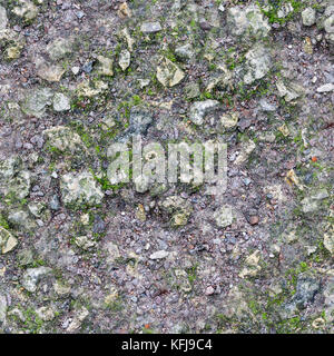 La tierra rocosa gris sin costuras con moss textura. Antecedentes. Foto de stock