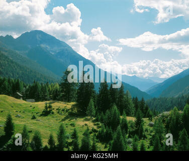 Val Lavizzara, Schweiz, Suiza *** título Local *** ,Montaña,Bosque,fir,árbol,Alpes,Tessin