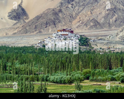 Antiguo monasterio budista y la ciudad de thiksey gonpa se erige sobre una colina, entre el verde de los árboles, el valle de Ladakh, el Himalaya, al norte de la India. Foto de stock