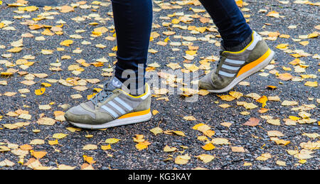 Minsk, Bielorrusia - Octubre 14, 2017: zapatos adidas en las piernas el alrededor del caído hojas de otoño Fotografía de stock - Alamy