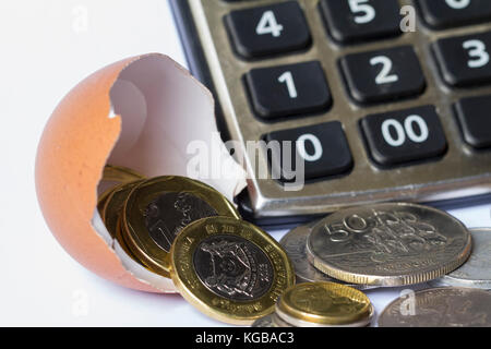 Cálculo de inversión empresarial / planificación financiera de negocios / inicio de negocios ilustrado con cáscara de huevo, calculadora y monedas Foto de stock