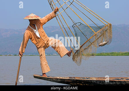 Equilibrio de pescador intha sujetando cónica del bastidor de bambú con red de pesca, Lago Inle, Nyaungshwe, el estado de Shan, Myanmar/Birmania