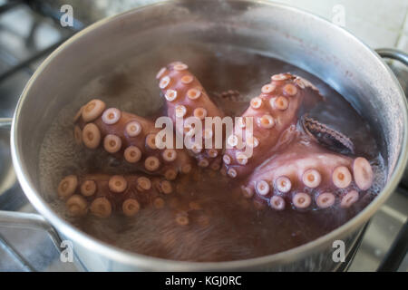 Pulpo hirviendo en agua salada