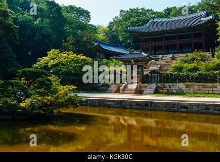 Jardín escondido en el palacio de Changdeokgung en verano con pagoda palacio rodeado por árboles en verano con árboles crecen con estanque y pagoda seou en la parte superior.
