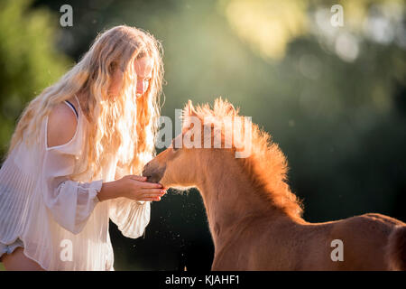 Alemán Caballo Pony. Chica smooching con la potra castaña-foal en luz del atardecer. Alemania Foto de stock