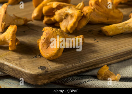 Materias orgánicas naranja cantharellus champiñones listos para cocinar