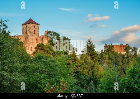 Las ruinas del castillo de la bella e histórica sobre una colina verde. Ruinas de castillo en rudno tenczyn, Polonia. Foto de stock
