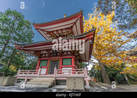 Ichou (árbol de ginkgo) colores de otoño, el follaje de otoño e inscripciones: Rei al 'espíritu' en la torre de Taho pagoda del Templo Chion-in, Higashiyama, Kyoto, Foto de stock