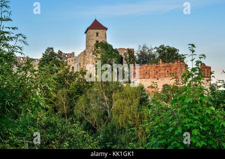 Hermoso castillo ruinas. tenczyn castillo en rudno, Polonia. Foto de stock