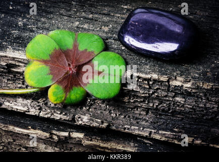 Trébol de cuatro hojas, trébol y piedra sobre madera Foto de stock