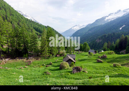 Vivienda de madera en un valle cerca de Fusio, distrito de Vallemaggia en el cantón del Tesino, Suiza. Foto de stock