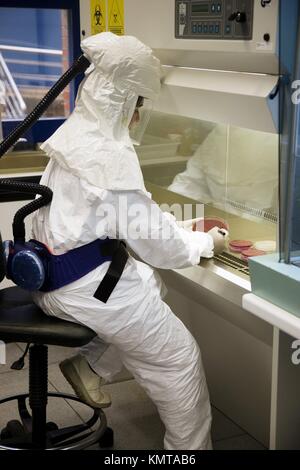 Cultivo microbiológico, trabajando en cabina de flujo laminar, utilizando equipos de seguridad monitorizado (Nivel 2 de Bioseguridad), Laboratorio de Bacteriología,