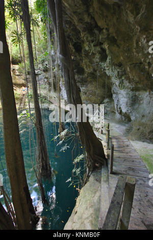Cenote X'Canché, Ek'Balam, cerca de Valladolid, Yucatán, México Foto de stock